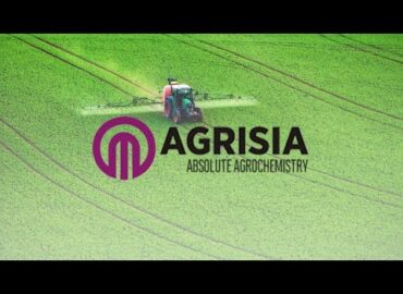 🌱🥜 Groundnut Farming Success Story with Our Product! 🚜✨