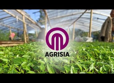 Unbelievable Growth Results Using AgriSia Products | Chilli Farm Success in Khargone, M.P
