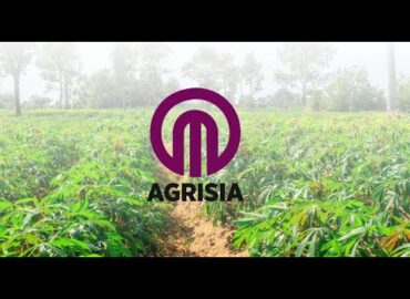 Our clients share their real experiences and results.🤩